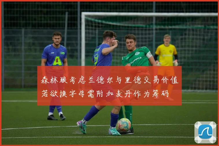 森林狼考虑兰德尔与里德交易价值若欲换字母需附加麦丹作为筹码