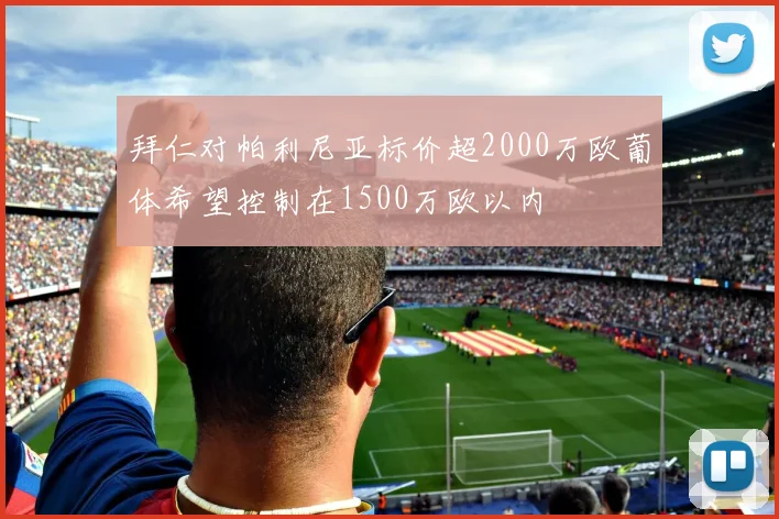 拜仁对帕利尼亚标价超2000万欧葡体希望控制在1500万欧以内